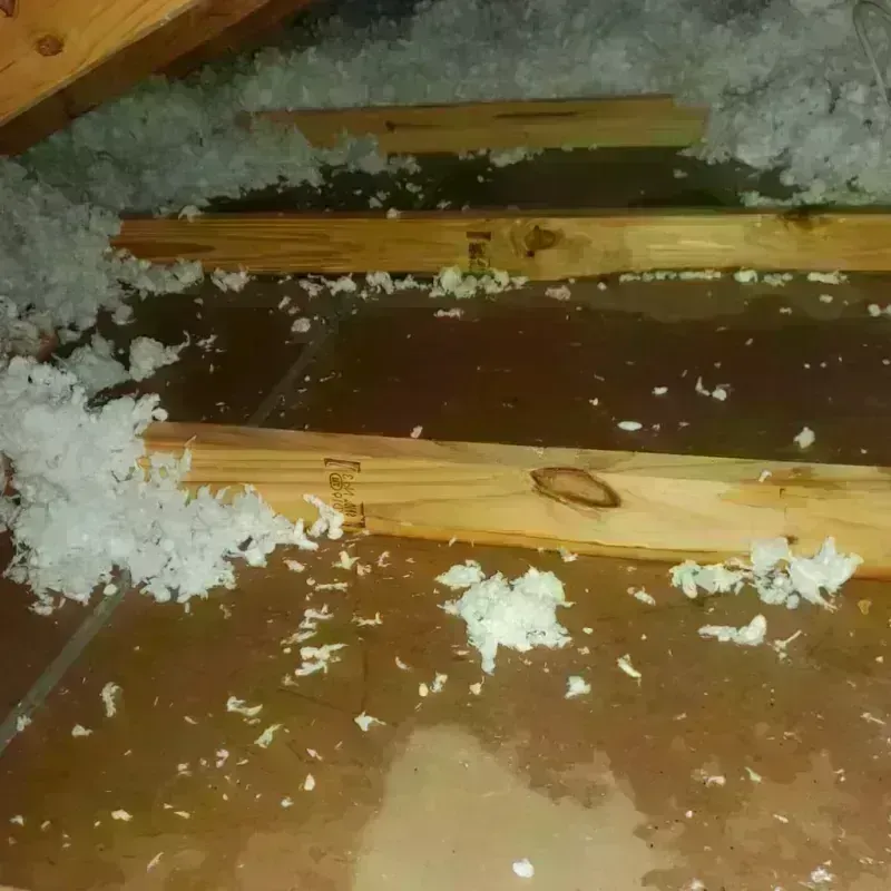 Attic Water Damage in Cordele, GA